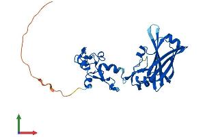 Protein Structure (PS) image for E3 Ubiquitin-Protein Ligase SIAH1 (SIAH1) (AA 1-282) protein (His tag) (ABIN7563491)