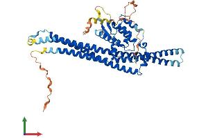 AlphaFold protein structure predicition of Human Recombinant SNX8 Protein, UniprotID Q9Y5X2