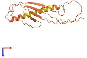 AlphaFold protein structure predicition of Human Recombinant ERC2-IT1 Protein, UniprotID O76042