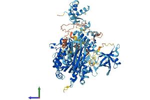 AlphaFold protein structure predicition of Human Recombinant MOV10 Protein, UniprotID Q9HCE1