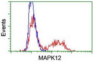 Flow Cytometry (FACS) image for anti-Mitogen-Activated Protein Kinase 12 (MAPK12) antibody (ABIN1499306) (MAPK12 抗体)