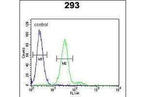 KIT Antibody  g flow cytometric analysis of 293 cells (right histogram) compared to a negative control cell (left histogram). (KIT 抗体  (AA 680-711))