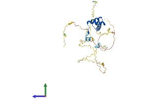 Protein Structure (PS) image for Developing Brain Homeobox 1 (DBX1) (AA 1-335) protein (His tag) (ABIN7563426)