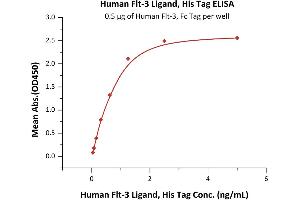 Immobilized Human Flt-3, Fc Tag (ABIN6731308,ABIN6809860) at 5 μg/mL (100 μL/well) can bind Human Flt-3 Ligand, His Tag (ABIN5954994,ABIN6253536) with a linear range of 0. (FLT3LG Protein (AA 27-185) (His tag))