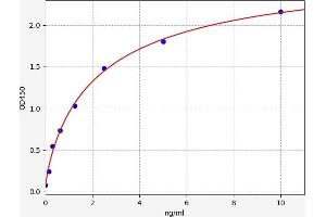 Creatine Kinase, Mitochondrial 1A (CKMT1A) ELISA Kit