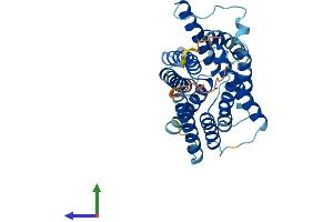 Protein Structure (PS) image for Solute Carrier Family 35 (UDP-GlcNAc/UDP-Glucose Transporter), Member D2 (SLC35D2) (AA 1-326) protein (His tag) (ABIN7558161)