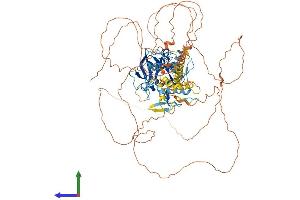 Protein Structure (PS) image for PR Domain Containing 1, with ZNF Domain (PRDM1) (AA 1-825) protein (His tag) (ABIN7555071)