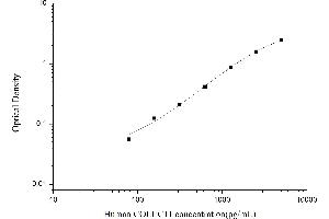 Typical standard curve (COLEC11 ELISA 试剂盒)