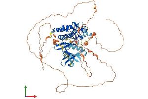AlphaFold protein structure predicition of Human Recombinant TESK1 Protein, UniprotID Q15569