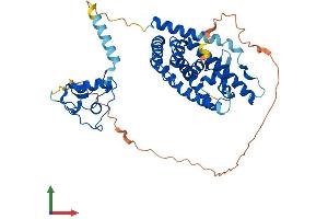 AlphaFold protein structure predicition of Mouse Recombinant Nr1h3 Protein, UniprotID Q9Z0Y9
