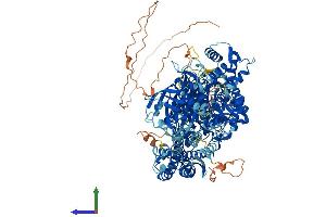 Protein Structure (PS) image for phospholipase C-Like 1 (PLCL1) (AA 1-1095) protein (His tag) (ABIN7554980)