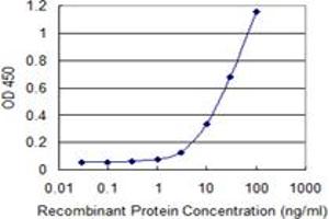 Detection limit for recombinant GST tagged RAB28 is 1 ng/ml as a capture antibody. (RAB28 抗体  (AA 1-95))