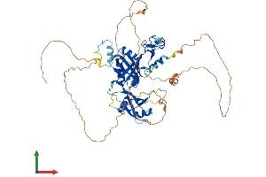 Protein Structure (PS) image for Cytoplasmic Polyadenylation Element Binding Protein 1 (CPEB1) (AA 1-561) protein (His tag) (ABIN7563510)