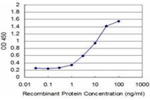 Detection limit for recombinant GST tagged TP53RK is approximately 1ng/ml as a capture antibody. (TP53RK 抗体  (AA 154-253))