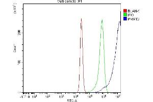 Flow Cytometry analysis of K562 cells using anti-PRMT3 antibody (ABIN7599822).