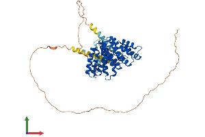 Protein Structure (PS) image for Ribosomal RNA Processing 1 Homolog A (RRP1) (AA 1-461) protein (His tag) (ABIN7551554)