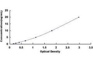 Typical standard curve (MGEA5 ELISA 试剂盒)