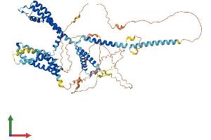 Protein Structure (PS) image for Potassium Voltage-Gated Channel, KQT-Like Subfamily, Member 1 (KCNQ1) (AA 1-676) protein (His tag) (ABIN7554359)