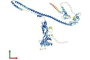 Protein Structure (PS) image for Midline 2 (MID2) (AA 1-705) protein (His tag) (ABIN7561728)