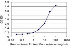 Detection limit for recombinant GST tagged FOLR2 is approximately 1ng/ml as a capture antibody. (FOLR2 抗体  (AA 36-128))