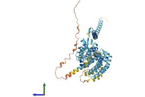 Protein Structure (PS) image for Proteasome (Prosome, Macropain) 26S Subunit, Non-ATPase, 3 (PSMD3) (AA 1-530) protein (His tag) (ABIN7562878)