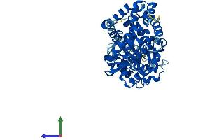 Protein Structure (PS) image for Cytochrome P450, Family 39, Subfamily A, Polypeptide 1 (CYP39A1) (AA 1-469) protein (His tag) (ABIN7546689)