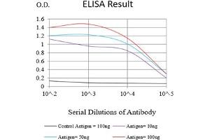 Black line: Control Antigen (100 ng),Purple line: Antigen (10 ng), Blue line: Antigen (50 ng), Red line:Antigen (100 ng) (GSTP1 抗体  (AA 2-210))
