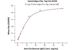 Immobilized Cynomolgus C5a, Tag Free (ABIN6731340,ABIN6809880) at 2 μg/mL (100 μL/well) can bind Anti-C5a (Human IgG1) with a linear range of 0.