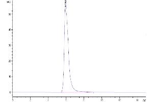Size-exclusion chromatography-High Pressure Liquid Chromatography (SEC-HPLC) image for Interleukin 15 Receptor, alpha (IL15RA) (AA 31-205) protein (Fc Tag) (ABIN7275020)