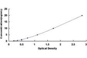 Typical standard curve (DSTYK ELISA 试剂盒)