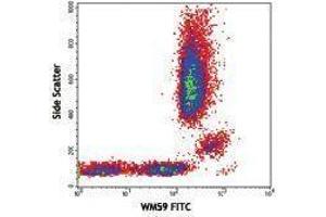 Flow Cytometry (FACS) image for anti-Platelet/endothelial Cell Adhesion Molecule (PECAM1) antibody (FITC) (ABIN2661660) (CD31 抗体  (FITC))