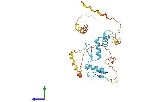 Protein Structure (PS) image for Kruppel-Like Factor 16 (KLF16) (AA 1-252) protein (His tag) (ABIN7548823)