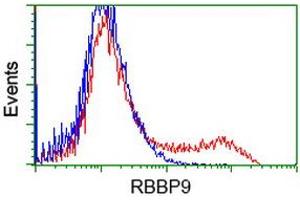 HEK293T cells transfected with either RC202090 overexpress plasmid (Red) or empty vector control plasmid (Blue) were immunostained by anti-RBBP9 antibody (ABIN2453589), and then analyzed by flow cytometry. (RBBP9 抗体)