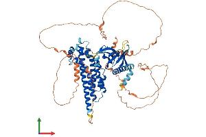 Protein Structure (PS) image for Rho Guanine Nucleotide Exchange Factor 25 (ARHGEF25) (AA 1-618) protein (His tag) (ABIN7564954)