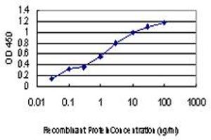 Detection limit for recombinant GST tagged CDKL4 is approximately 0. (CDKL4 抗体  (AA 196-295))