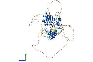 AlphaFold protein structure predicition of Mouse Recombinant Dclre1c Protein, UniprotID Q8K4J0