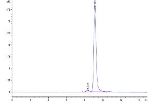 The purity of Cynomolgus ANXA1 is greater than 95 % as determined by SEC-HPLC. (Annexin a1 Protein (AA 2-346) (His tag))