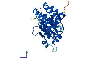 Protein Structure (PS) image for OTU Domain, Ubiquitin Aldehyde Binding 2 (OTUB2) (AA 1-234) protein (His tag) (ABIN7550540)