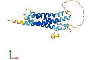 AlphaFold protein structure predicition of Human Recombinant TM4SF20 Protein, UniprotID Q53R12