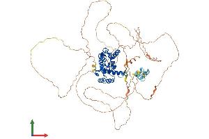 AlphaFold protein structure predicition of Mouse Recombinant Tagap Protein, UniprotID B2RWW0