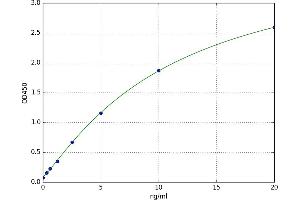 A typical standard curve (C-Jun N-Terminal Kinases ELISA 试剂盒)