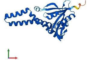 Protein Structure (PS) image for N-Acetyltransferase 8 (NAT8) (AA 1-227) protein (His tag) (ABIN7561562)