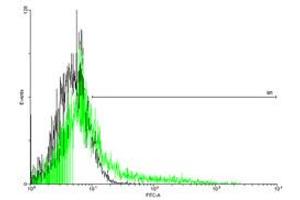 FACS analysis of negative control 293 cells (Black) and IL2RB expressing 293 cells (Green) using IL2RB purified MaxPab mouse polyclonal antibody. (IL2 Receptor beta 抗体  (AA 1-551))