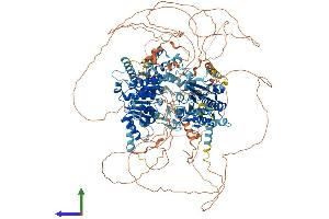 Protein Structure (PS) image for RAD54-Like 2 (RAD54L2) (AA 1-1467) protein (His tag) (ABIN7552334)