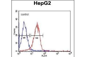 ITA6 Monoclonal Antibody (ABIN658988 and ABIN2838034) flow cytometric analysis of HepG2 cells (right histogram) compared to a negative control cell (left histogram). (ITGA6 抗体)