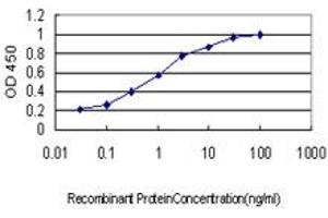 Detection limit for recombinant GST tagged MARK2 is approximately 0. (MARK2 抗体  (AA 401-500))