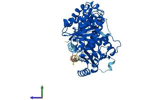Protein Structure (PS) image for Tubulin, alpha 8 (TUBA8) (AA 1-449) protein (His tag) (ABIN7561616)