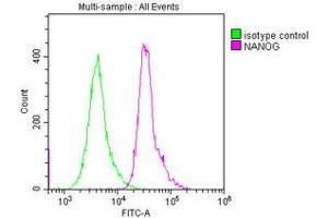 Flow Cytometry (FACS) image for anti-Nanog Homeobox (NANOG) (AA 1-305) antibody (ABIN7155816)