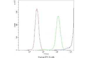 Flow cytometry testing of human PC-3 cells with DBI antibody at 1ug/10^6 cells (blocked with goat sera) (Diazepam Binding Inhibitor 抗体  (AA 2-187))