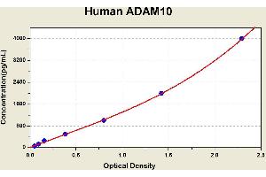 ADAM Metallopeptidase Domain 10 (ADAM10) ELISA Kit